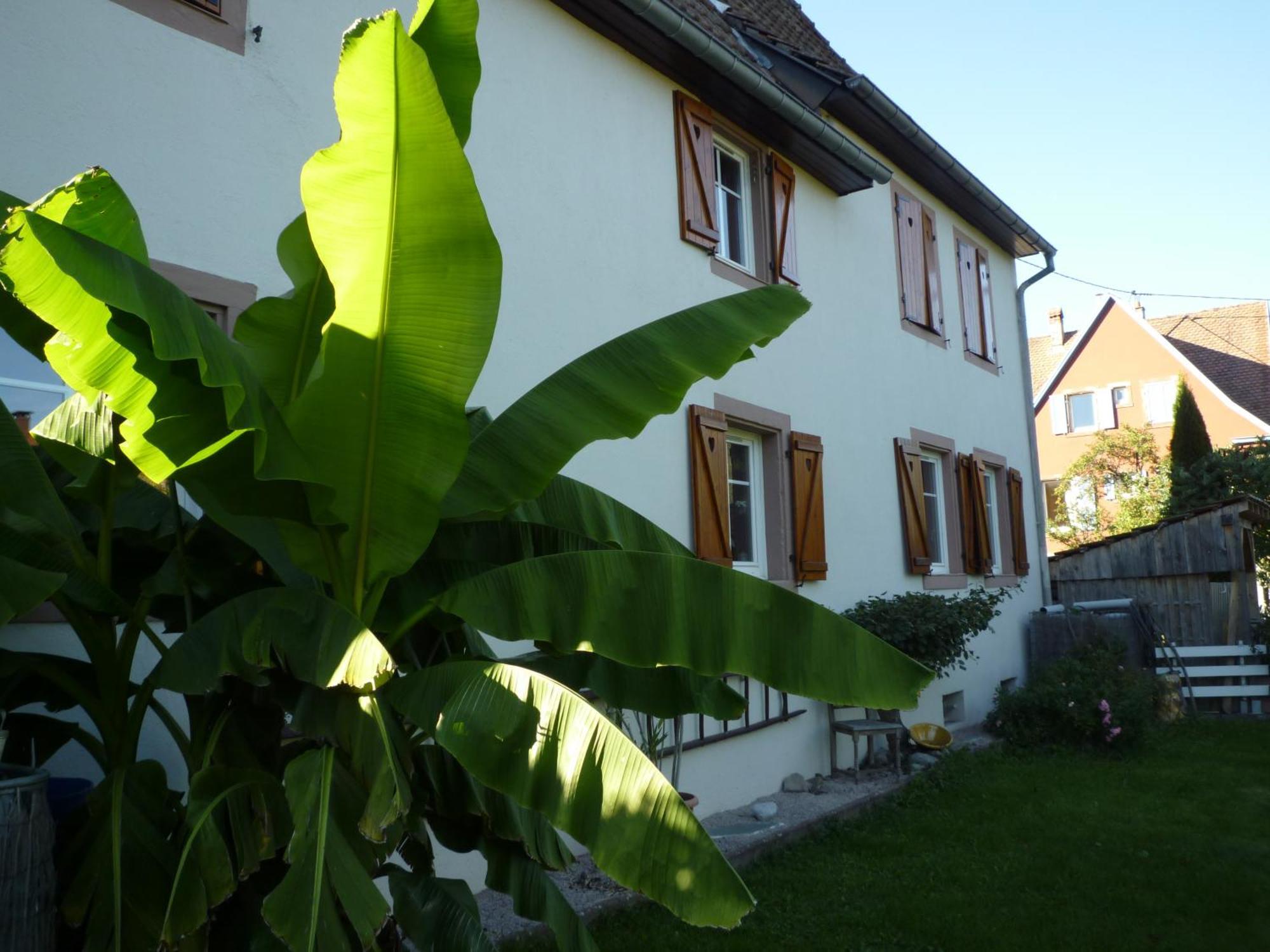 Gite La Charmaie Husseren-Wesserling Buitenkant foto