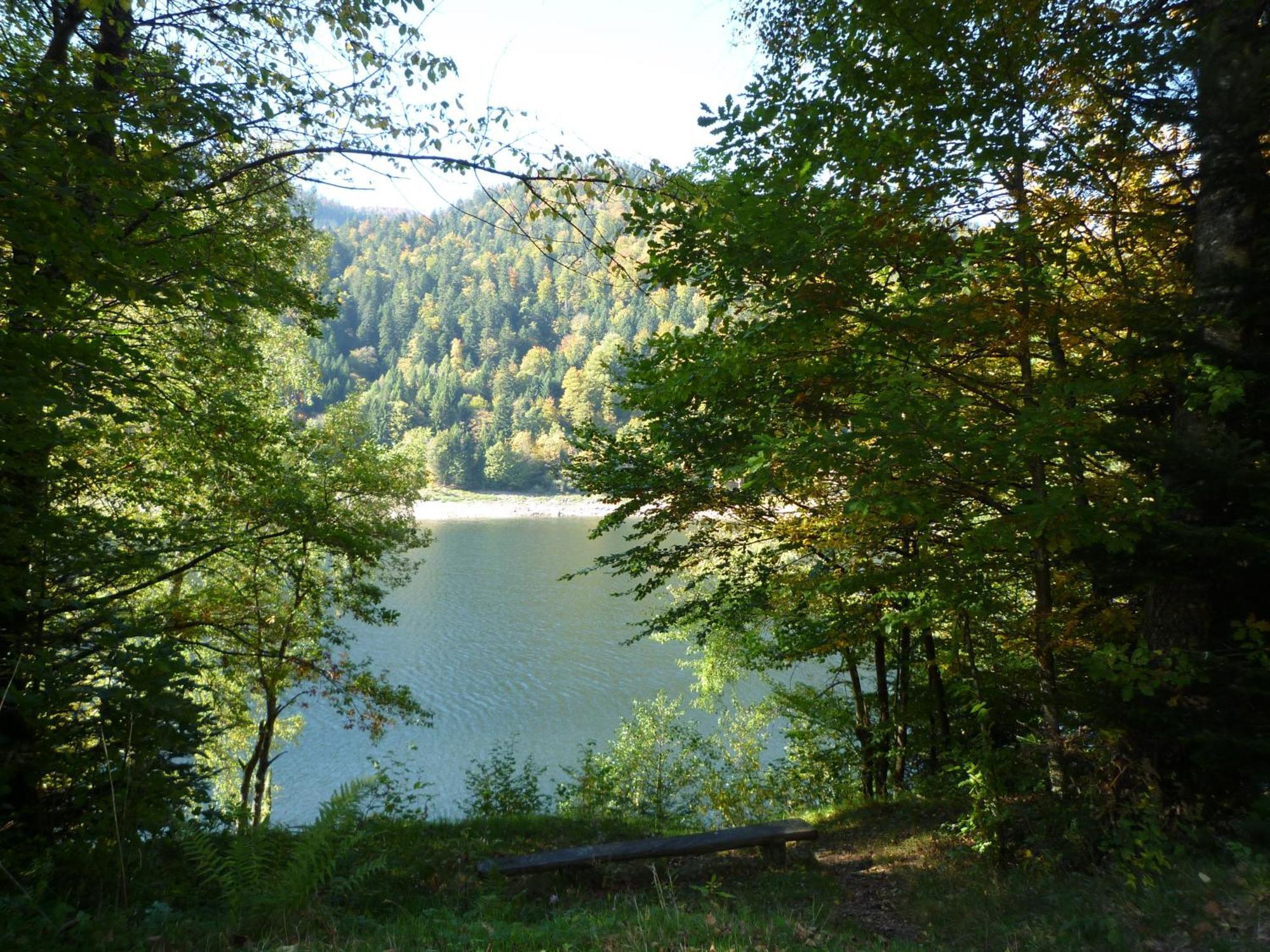 Gite La Charmaie Husseren-Wesserling Buitenkant foto