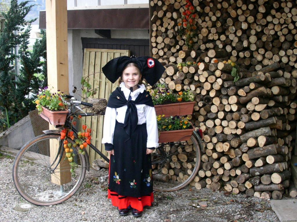 Gite La Charmaie Husseren-Wesserling Buitenkant foto
