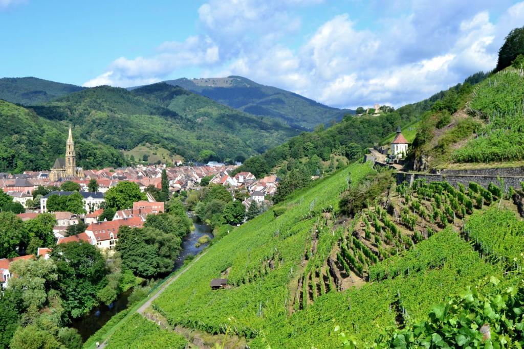 Gite La Charmaie Husseren-Wesserling Buitenkant foto